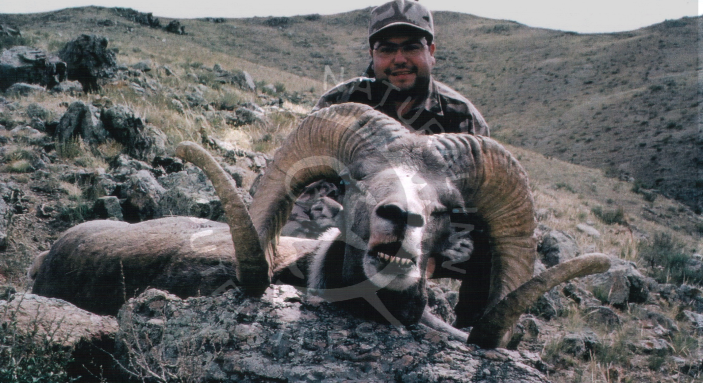 Hangay_Argali_Slides_Page-002-watermark.png